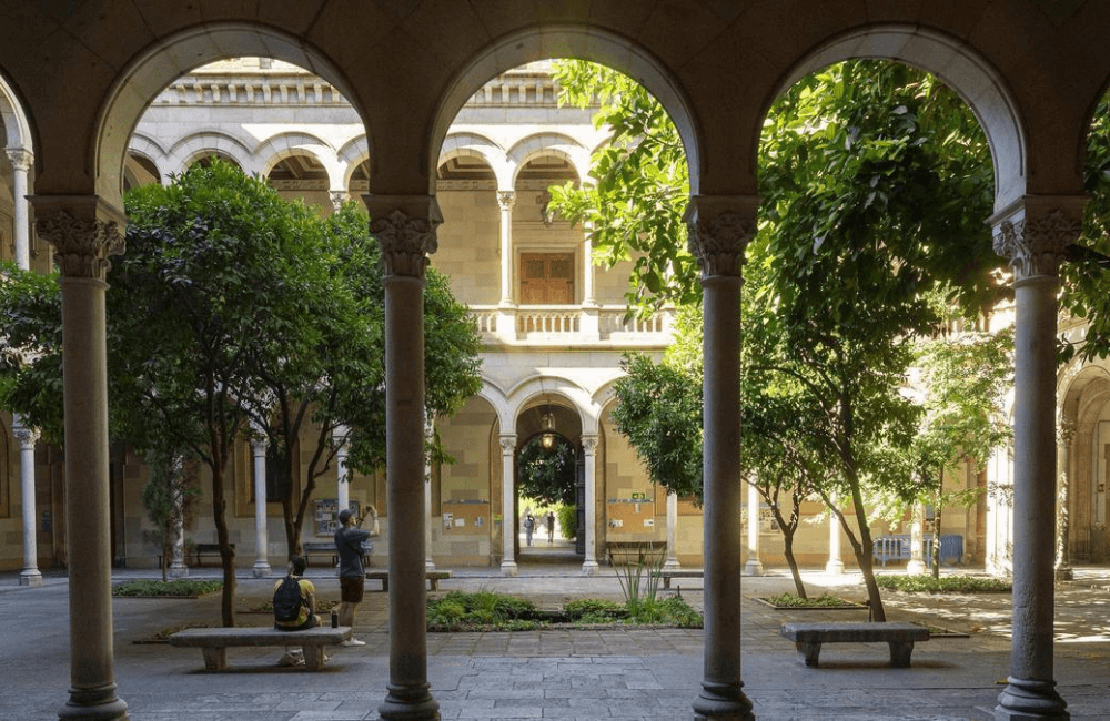 UB X Casanova - Imagen 3